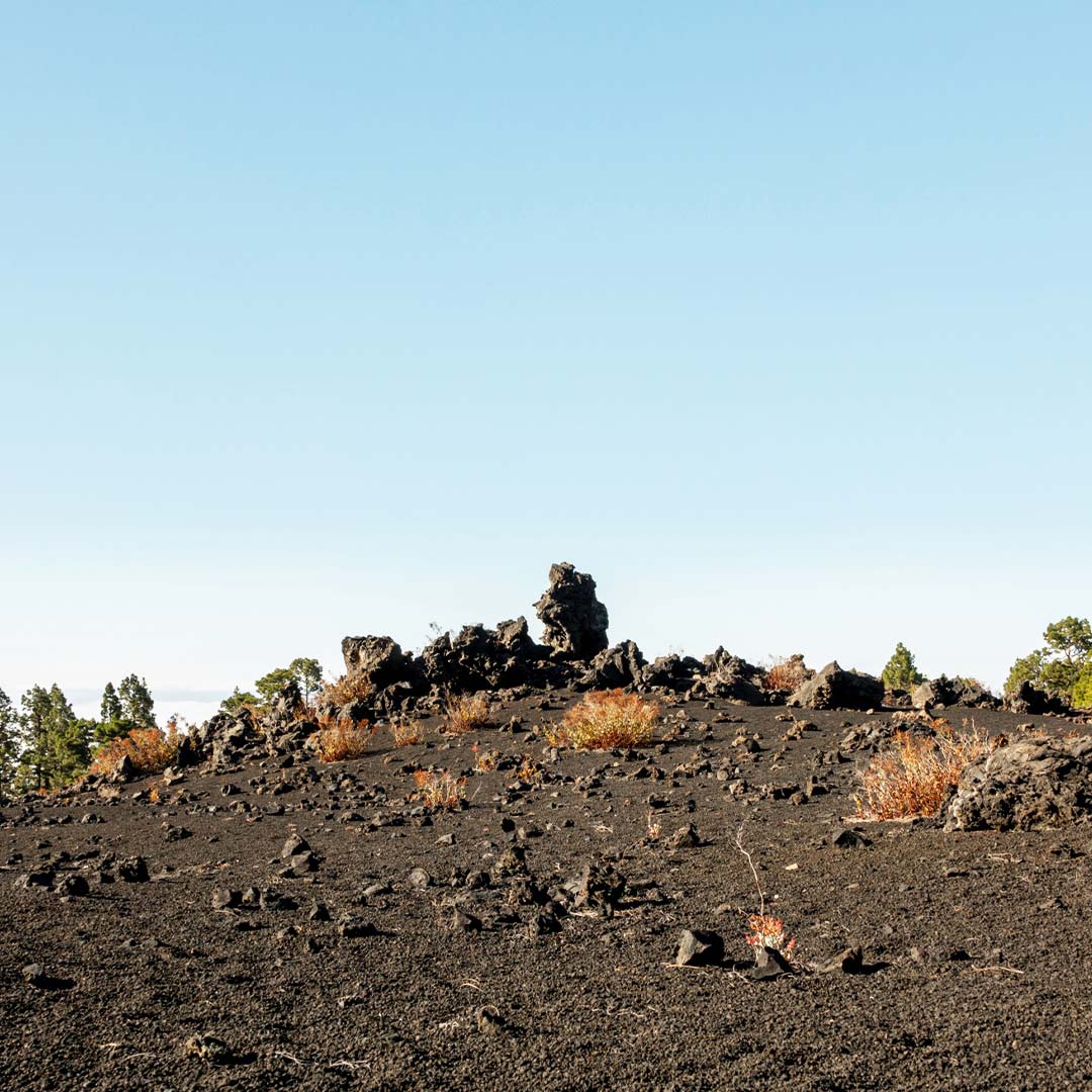 Zero-dumping-1080-new